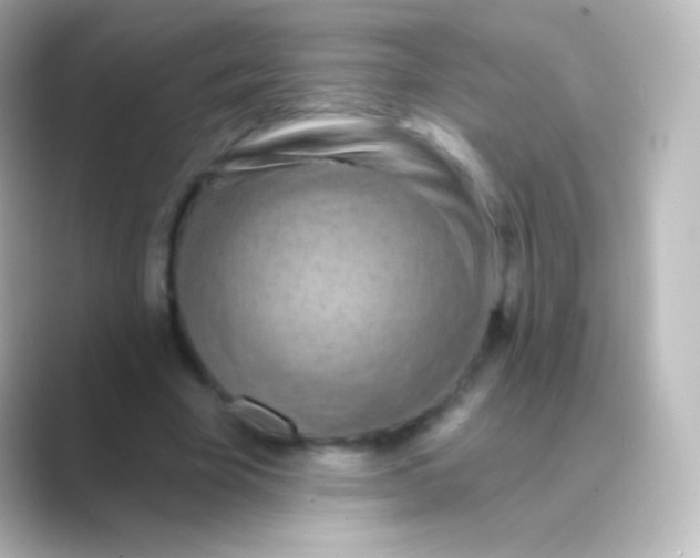 X0000088690585200706211928
