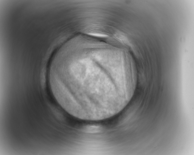 X0000088690586200706211928