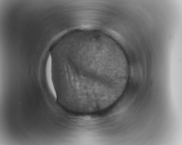 X0000088690588200706211928