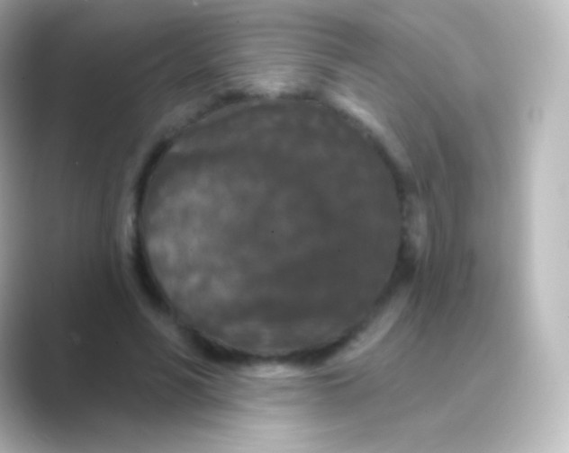 X0000088690590200706211928