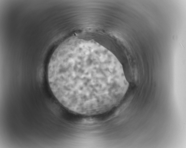 X0000088690591200706211928