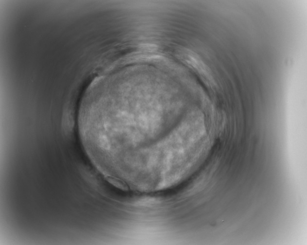 X0000088690593200706211928