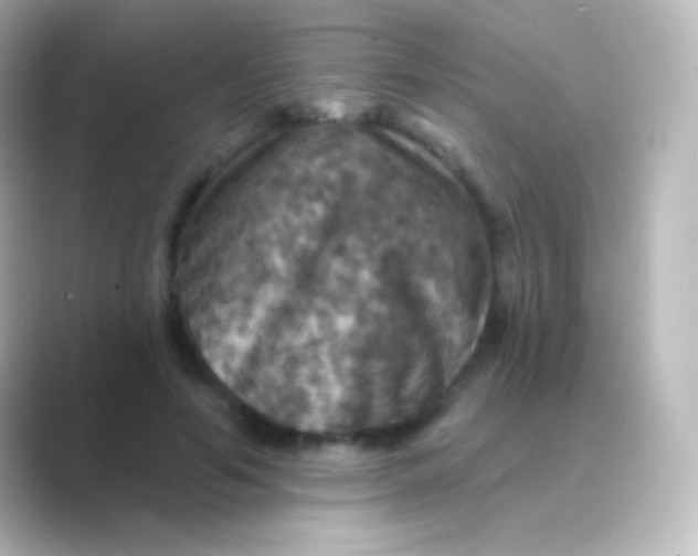 X0000088690594200706211928