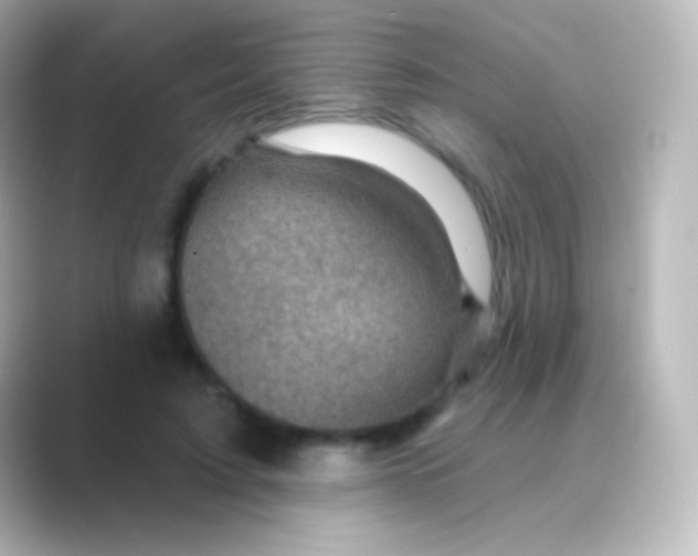 X0000088690595200706211928