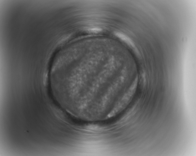 X0000088690596200706211928