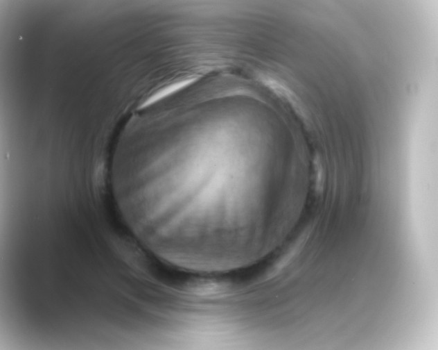 X0000088690597200706211928