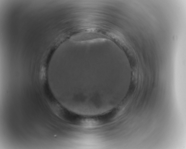 X0000088690598200706211928