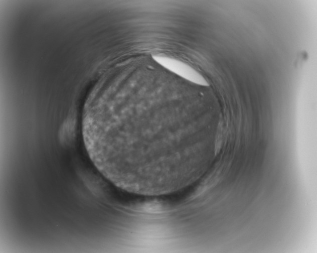 X0000088690600200706211928
