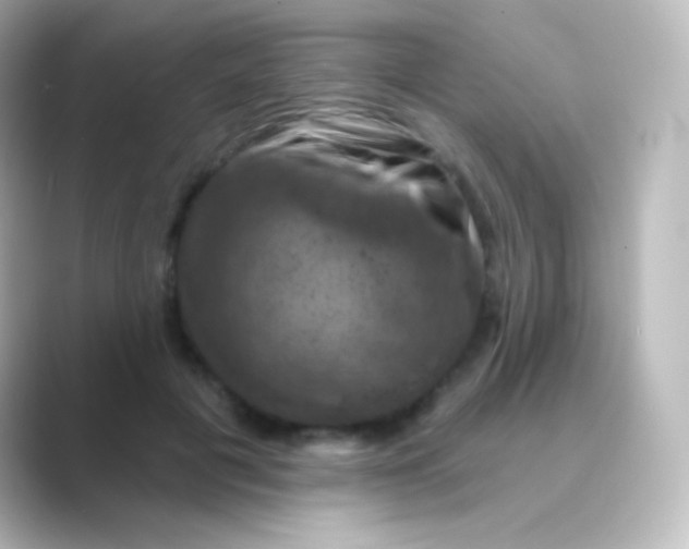 X0000088690601200706211928