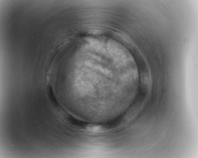 X0000088690602200706211928