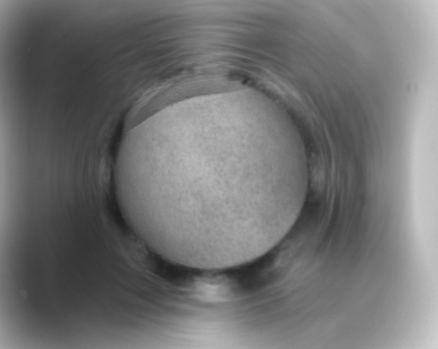X0000088690603200706211928