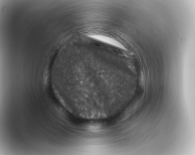 X0000088690604200706211928