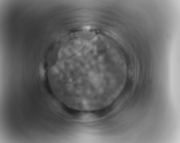 X0000088690605200706211928
