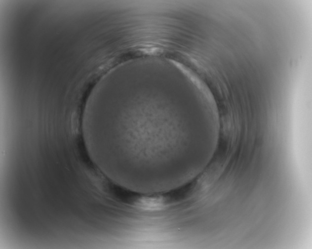 X0000088690606200706211928