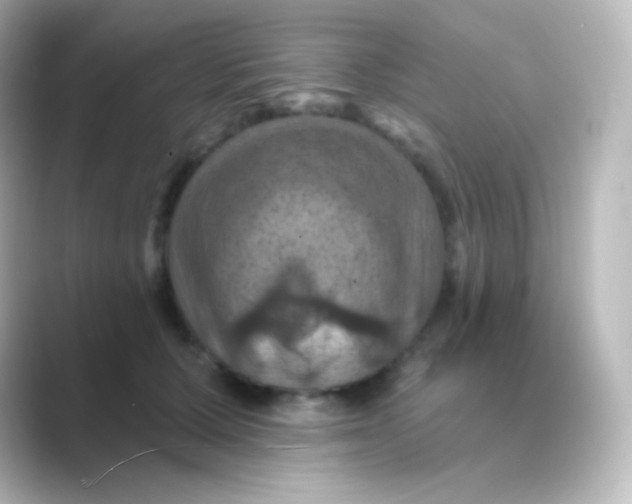 X0000088690607200706211928