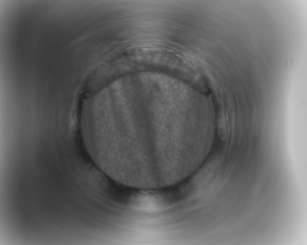 X0000088690608200706211928