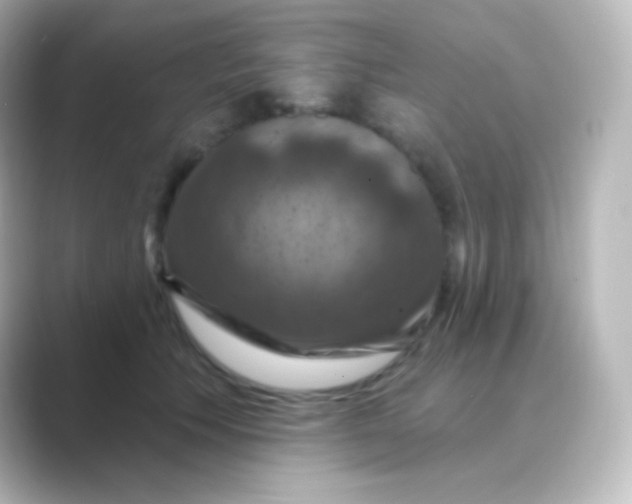 X0000088690609200706211928