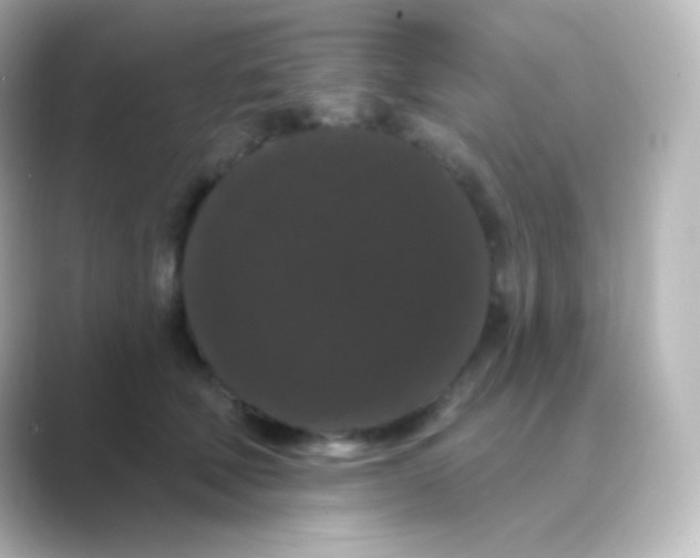 X0000088690610200706211928