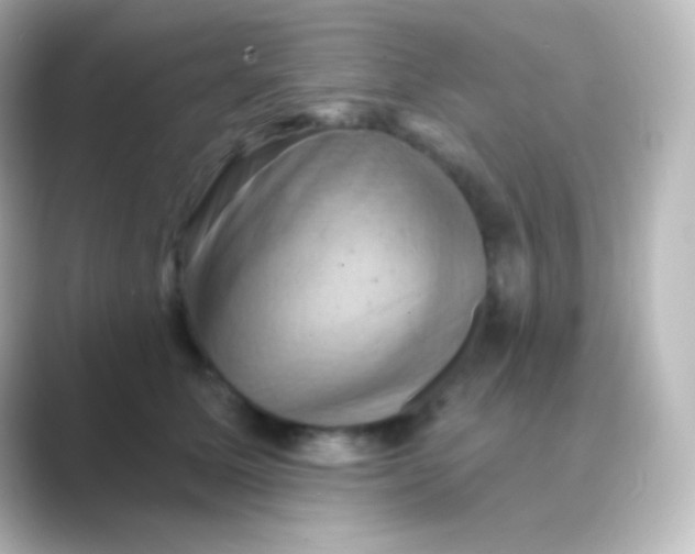 X0000088690611200706211928