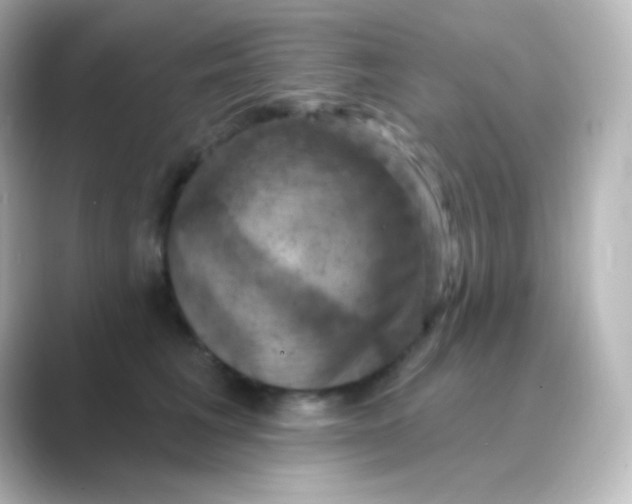 X0000088690613200706211928