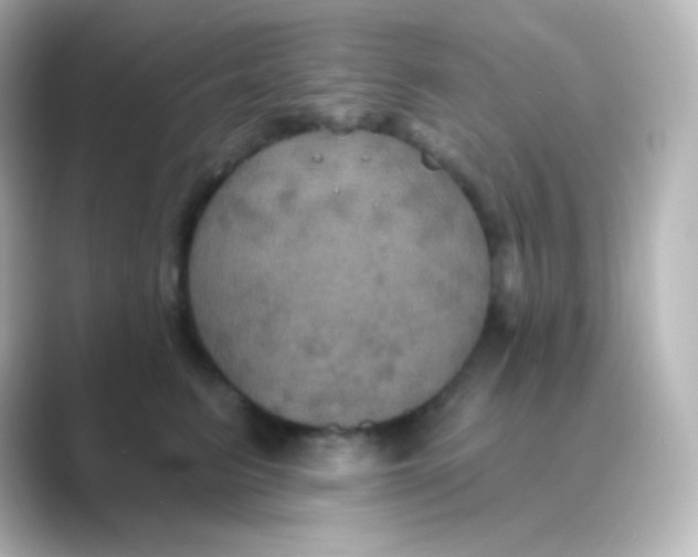 X0000088690615200706211928