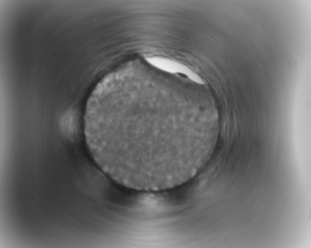 X0000088690616200706211928