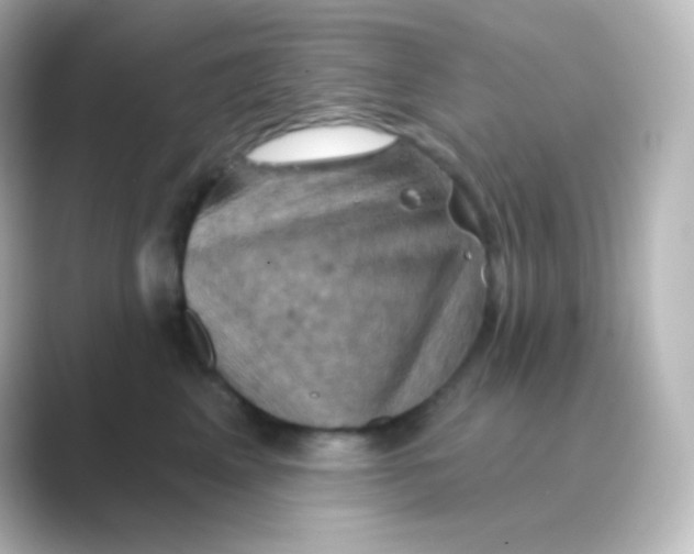 X0000088690617200706211928
