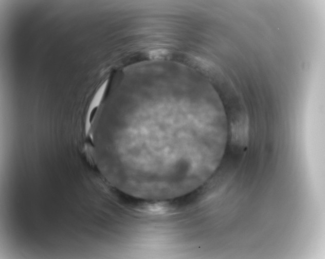 X0000088690618200706211928