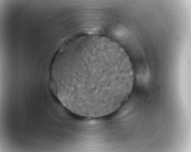 X0000088690620200706211928