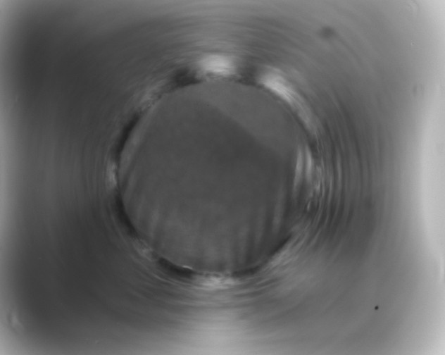 X0000088690621200706211928