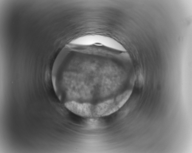 X0000088690623200706211928