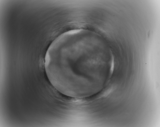 X0000088690624200706211928