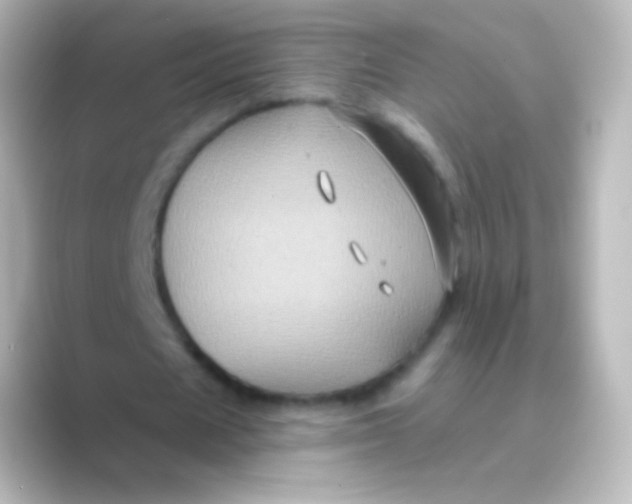 X0000088690625200706211927