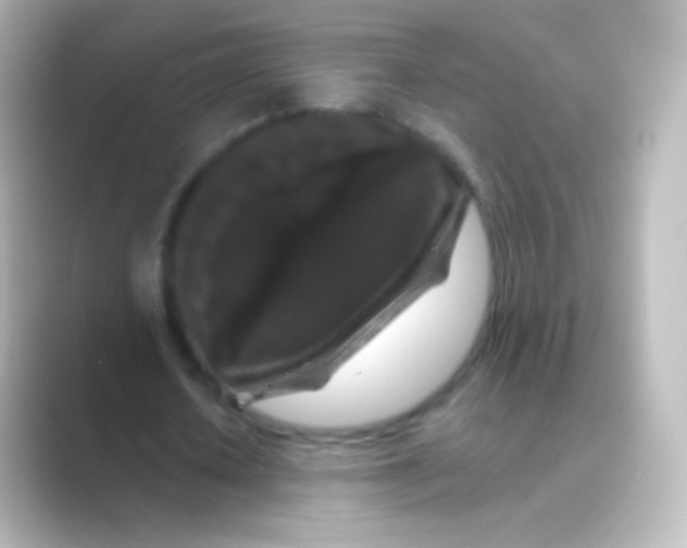 X0000088690626200706211927