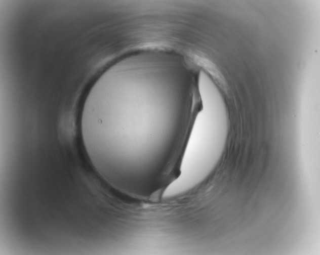 X0000088690628200706211927