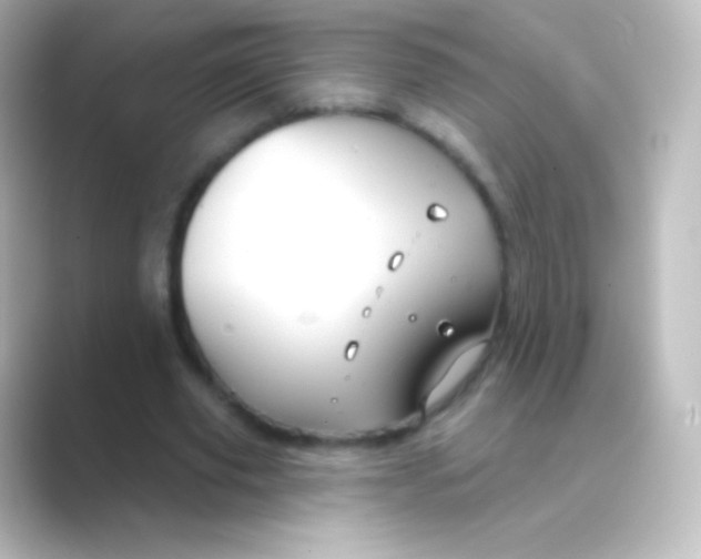 X0000088690629200706211927
