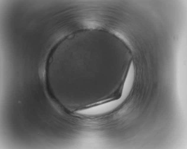 X0000088690630200706211927