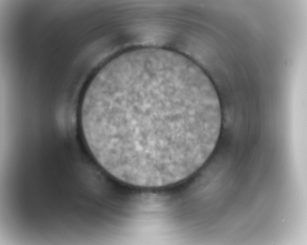 X0000088690632200706211927
