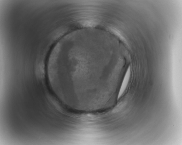 X0000088690634200706211927