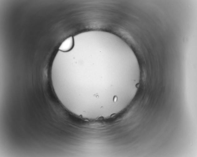 X0000088690636200706211927