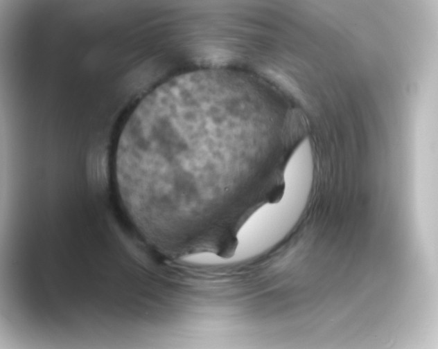 X0000088690638200706211927