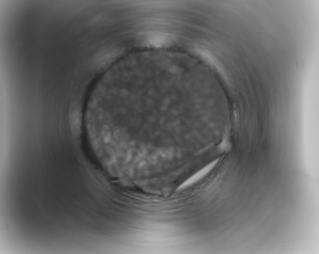 X0000088690640200706211927