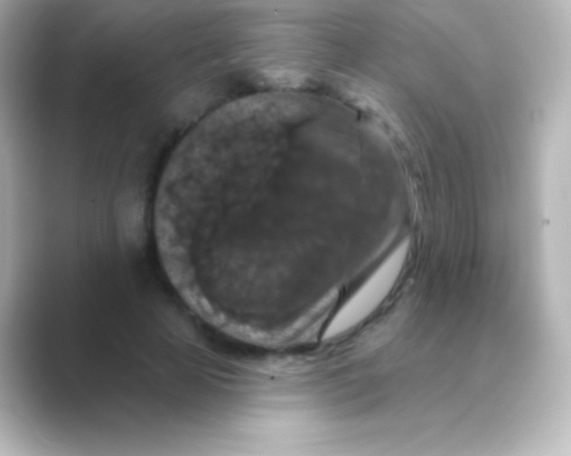 X0000088690641200706211927