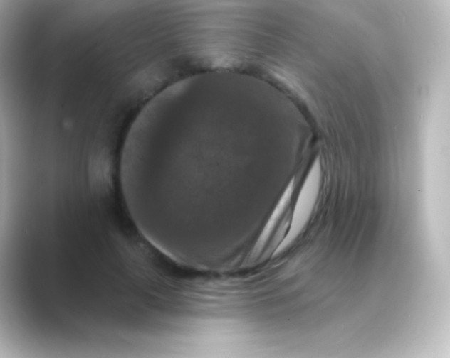 X0000088690643200706211927