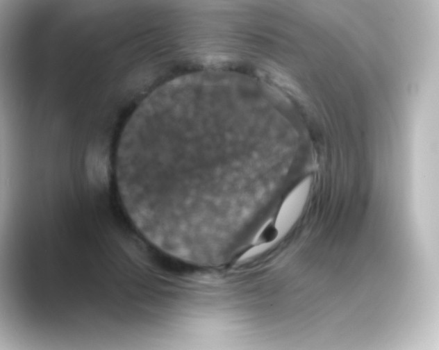 X0000088690644200706211927