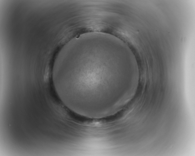 X0000088690647200706211927
