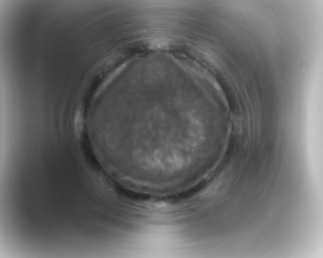 X0000088690648200706211927