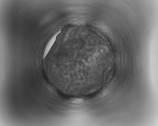 X0000088690649200706211927