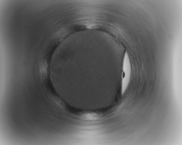 X0000088690650200706211927