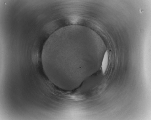 X0000088690651200706211927